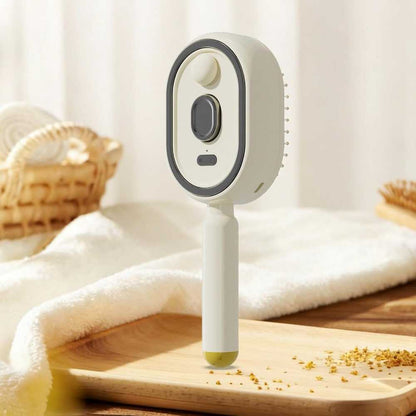 Misting Steam Hair Brush | Rechargeable Detangling Tool with Oil